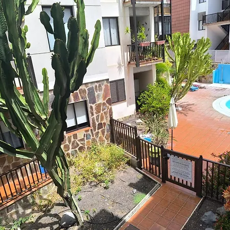 Rolin * Playa de Santiago (Isla de la Gomera)