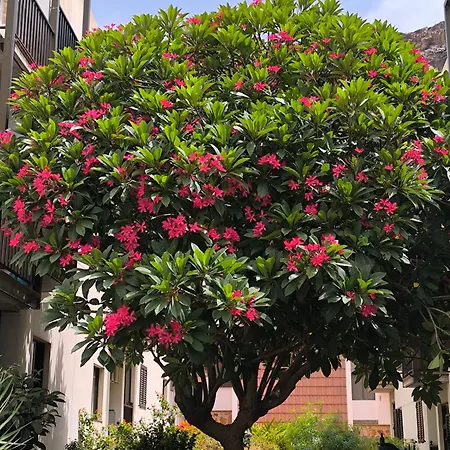 דירה Rolin פלאיה דה סנטיאגו